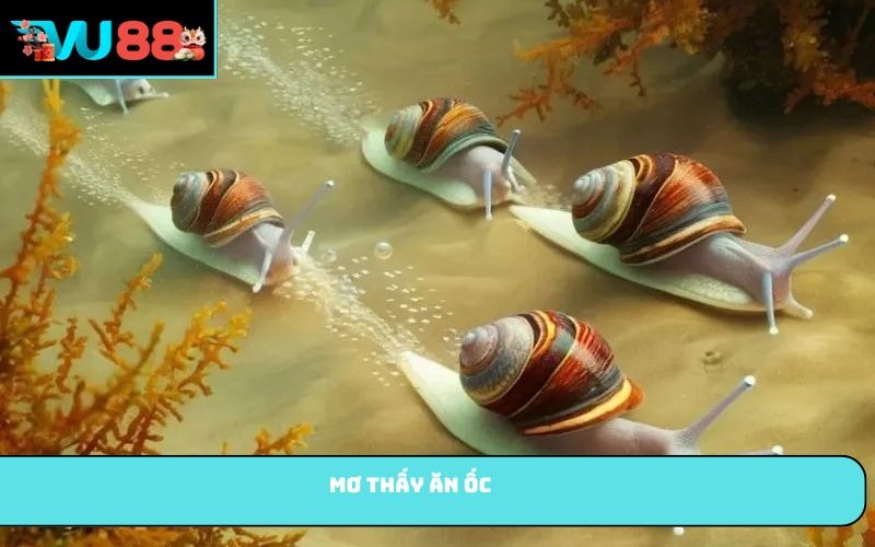 Mơ thấy ăn ốc