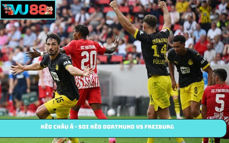 Kèo châu Á - Soi kèo Dortmund vs Freiburg
