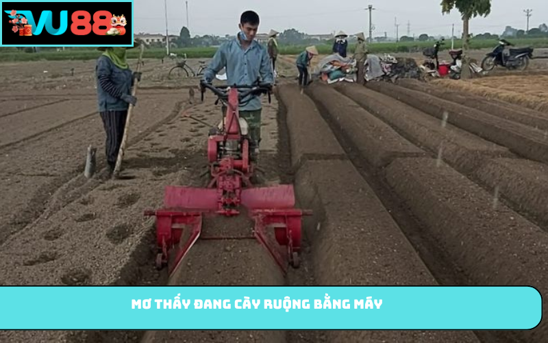 Mơ thấy đang cày ruộng bằng máy