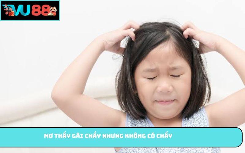 Mơ thấy gãi chấy nhưng không có chấy
