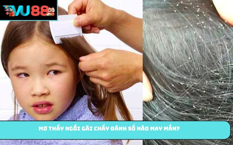 Mơ thấy ngồi gãi chấy đánh số nào may mắn?