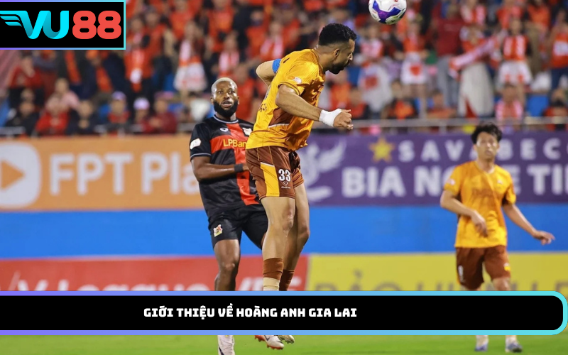 Giới thiệu về Hoàng Anh Gia Lai