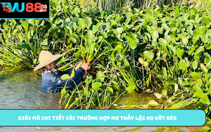 Giải mã chi tiết các trường hợp mơ thấy lội ao vớt bèo