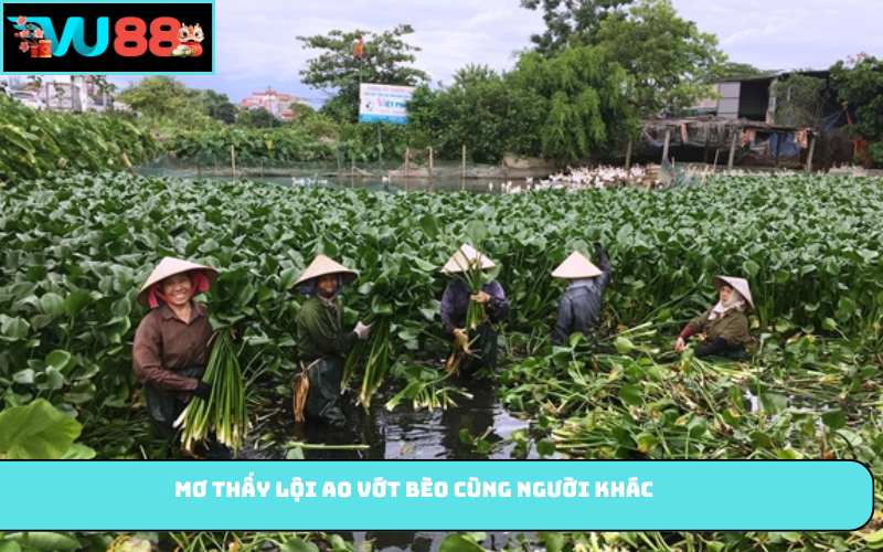 Mơ thấy lội ao vớt bèo cùng người khác