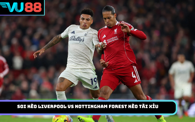 Soi kèo Liverpool vs Nottingham Forest Kèo Tài Xỉu