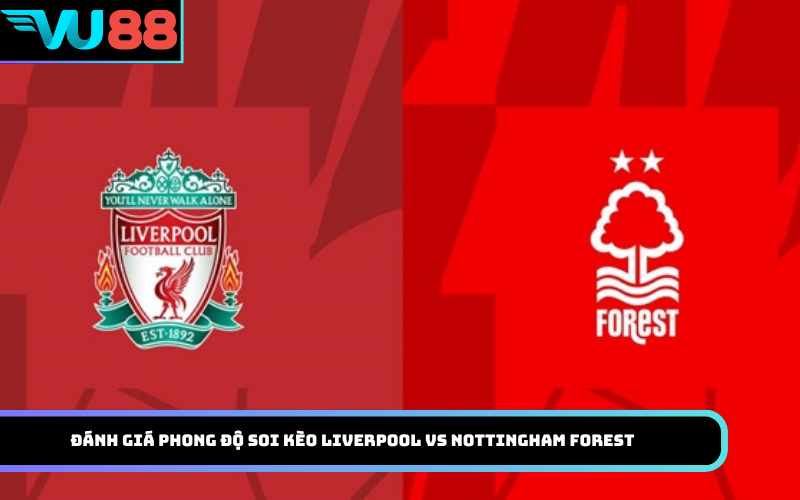Đánh Giá Phong Độ Soi kèo Liverpool vs Nottingham Forest