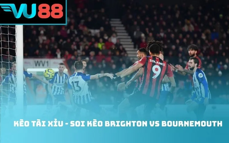 Kèo tài xỉu - soi kèo Brighton Vs Bournemouth