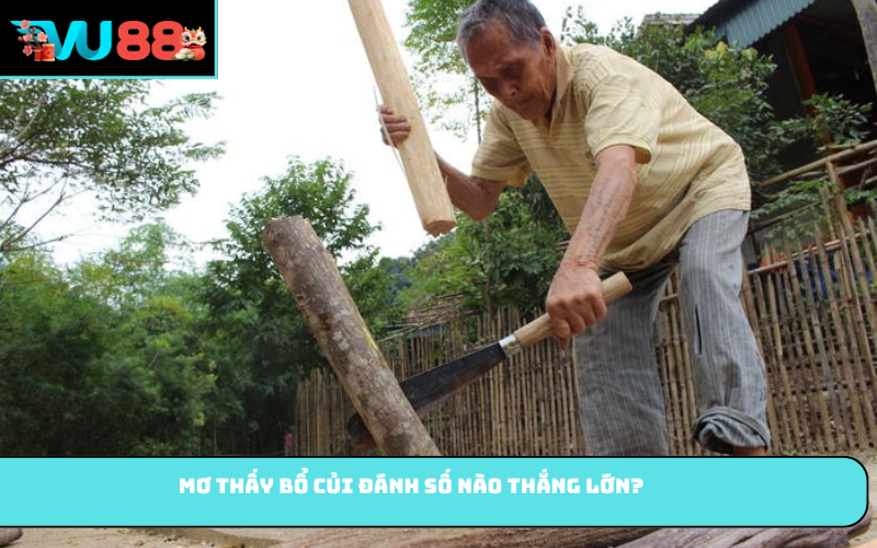 Mơ thấy bổ củi đánh số nào thắng lớn?