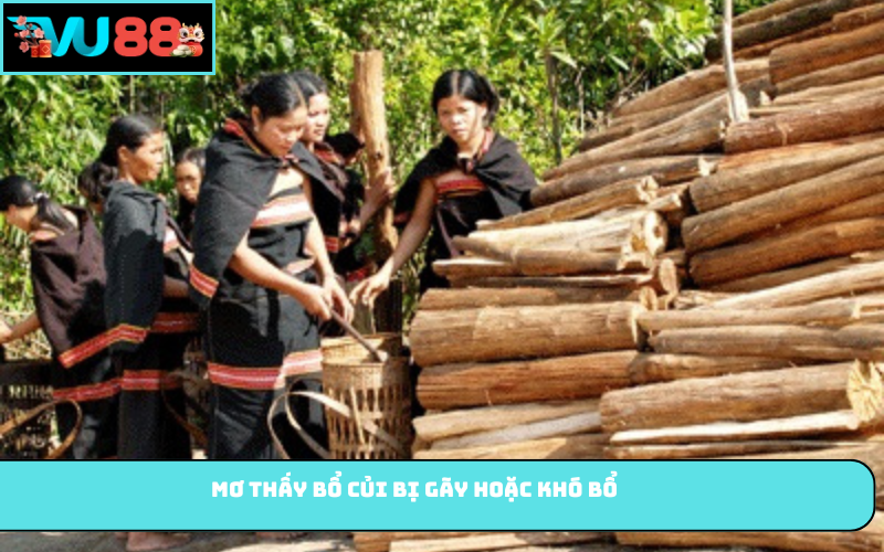 Mơ thấy bổ củi bị gãy hoặc khó bổ