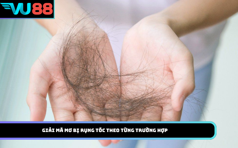 Giải mã mơ bị rụng tóc theo từng trường hợp