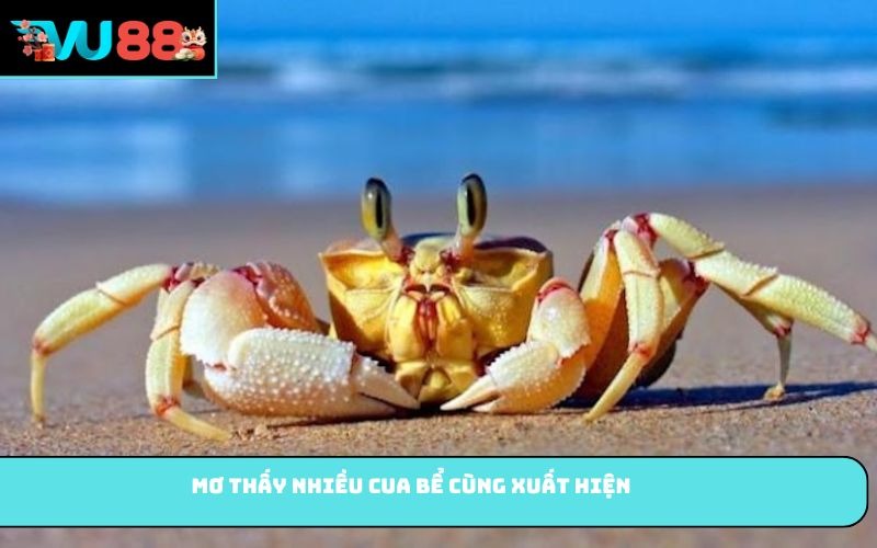 Mơ thấy nhiều cua bể cùng xuất hiện