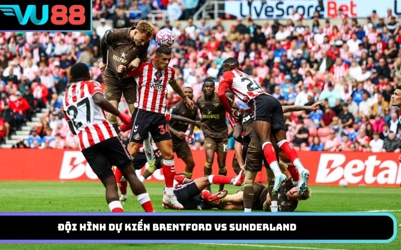 Đội Hình Dự Kiến Brentford Vs Sunderland