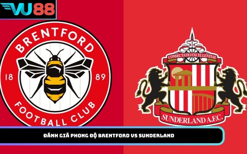 Đánh Giá Phong Độ Brentford Vs Sunderland