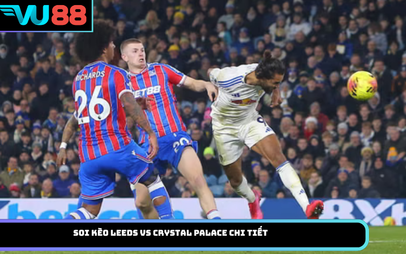 Soi kèo Leeds vs Crystal Palace chi tiết