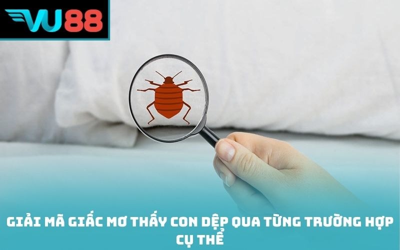 Giải mã giấc mơ thấy con dệp qua từng trường hợp cụ thể