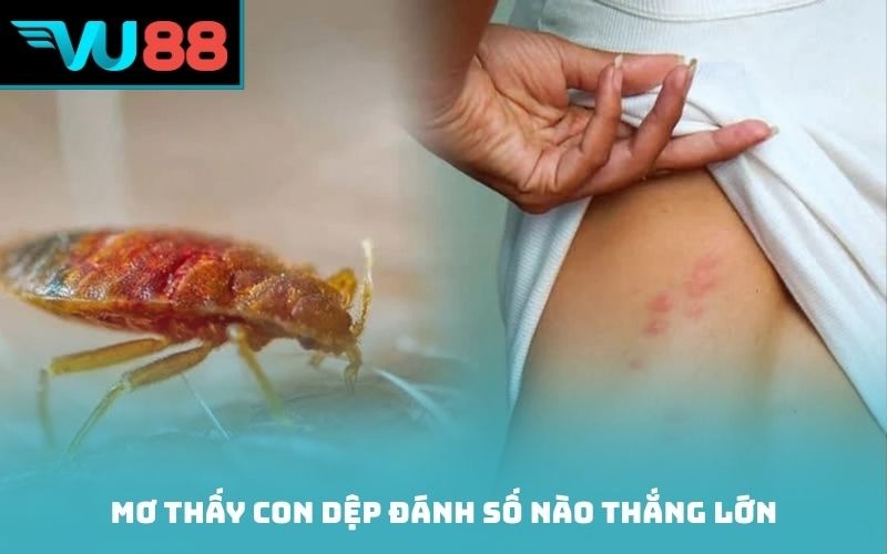Mơ thấy con dệp đánh số nào thắng lớn