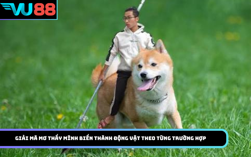 Giải mã mơ thấy mình biến thành động vật theo từng trường hợp