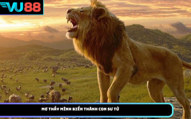 Mơ thấy mình biến thành con sư tử
