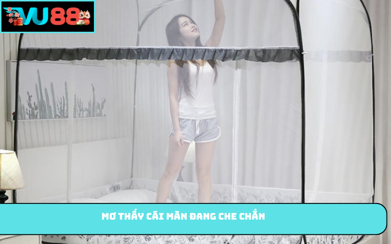 Mơ thấy cái màn đang che chắn