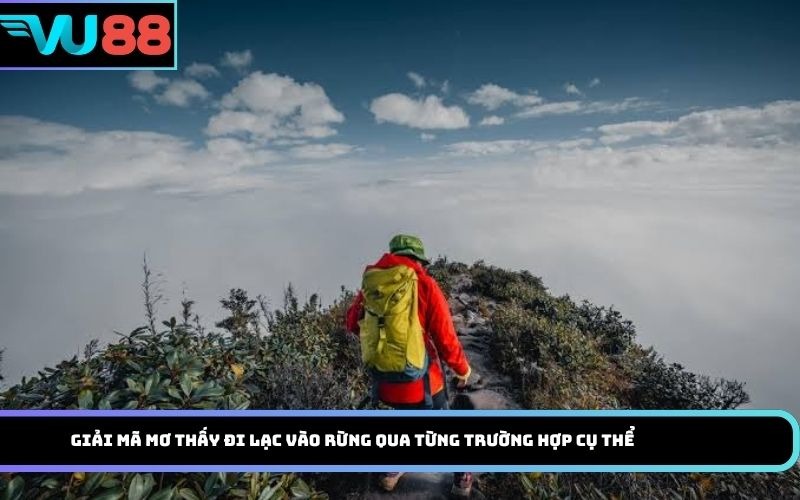 Giải mã mơ thấy đi lạc vào rừng qua từng trường hợp cụ thể
