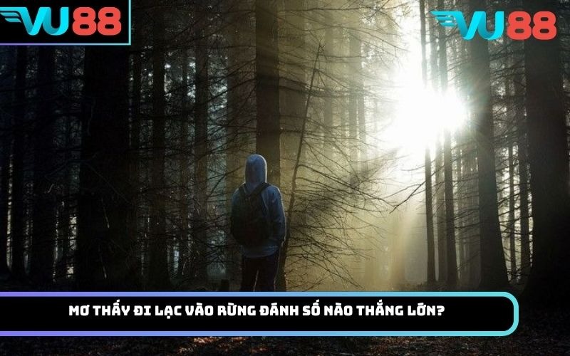 Mơ thấy đi lạc vào rừng đánh số nào thắng lớn?