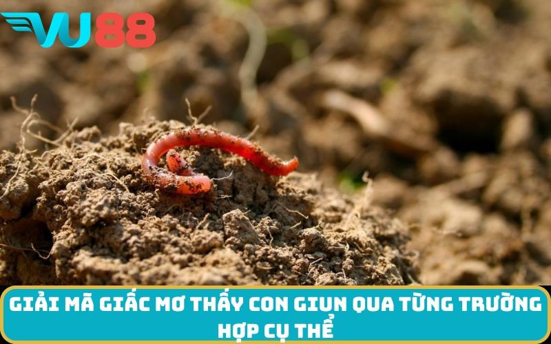 Giải mã giấc Mơ thấy con giun qua từng trường hợp cụ thể