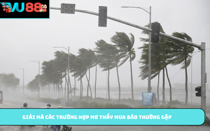 Giải mã các trường hợp mơ thấy mưa bão thường gặp