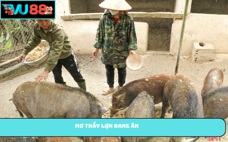Mơ thấy lợn đang ăn