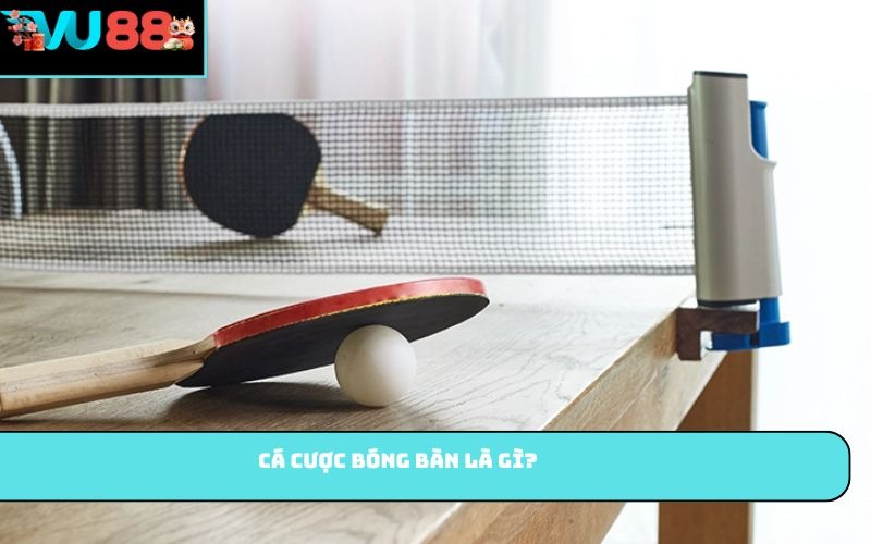 Cá cược bóng bàn là gì?