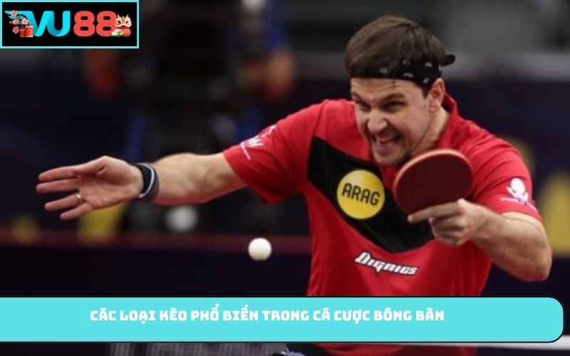 Các loại kèo phổ biến trong cá cược bóng bàn