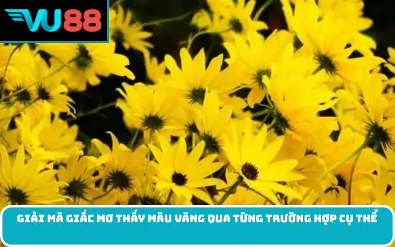 Giải mã giấc Mơ thấy màu vàng qua từng trường hợp cụ thể