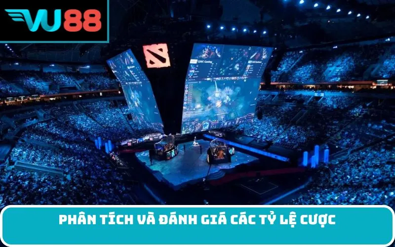 Phân tích và đánh giá các tỷ lệ cược