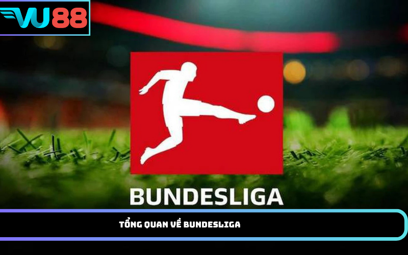 Tổng quan về Bundesliga