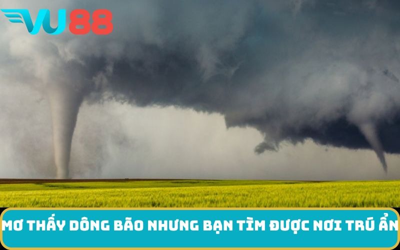 Mơ thấy dông bão nhưng bạn tìm được nơi trú ẩn