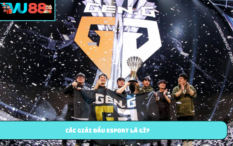 Các giải đấu Esport là gì?