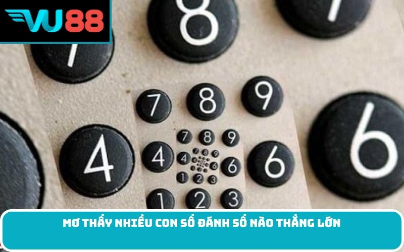 Mơ thấy nhiều con số đánh số nào thắng lớn