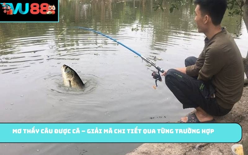 Mơ Thấy Câu Được Cá – Giải mã chi tiết qua từng trường hợp