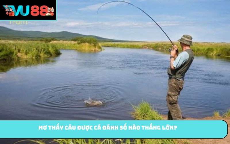 Mơ Thấy Câu Được Cá đánh số nào thắng lớn?