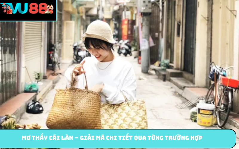 Mơ Thấy Cái Làn – Giải mã chi tiết qua từng trường hợp