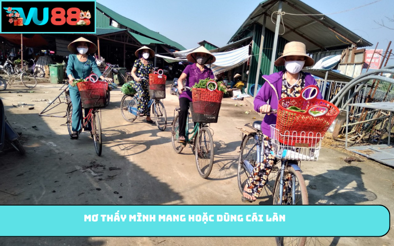 Mơ thấy mình mang hoặc dùng cái làn