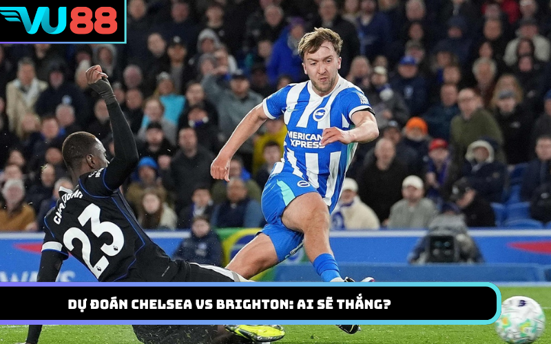 Dự Đoán Chelsea Vs Brighton: Ai Sẽ Thắng?