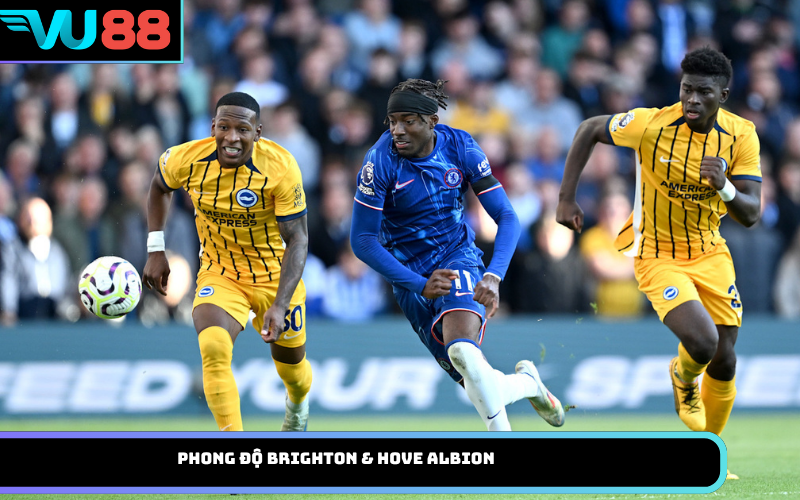 Phong độ Brighton & Hove Albion