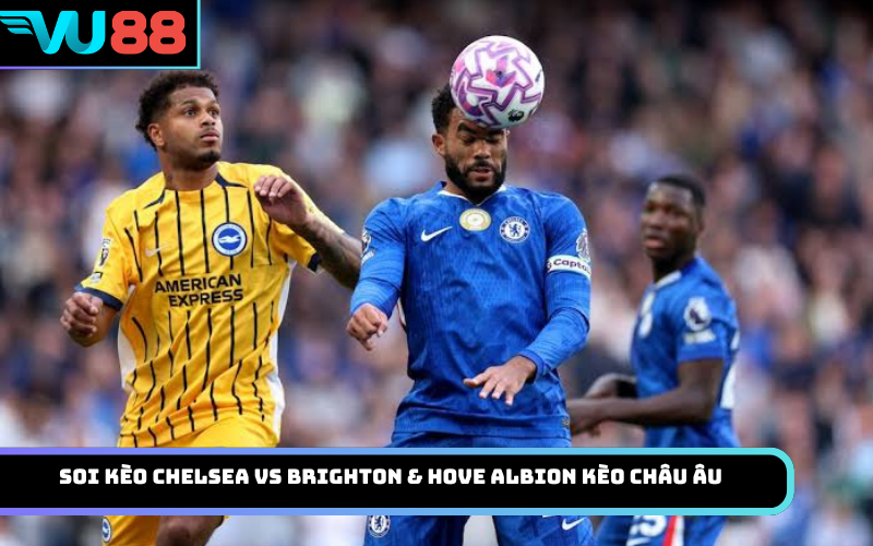 Soi kèo Chelsea vs Brighton & Hove Albion Kèo Châu Âu