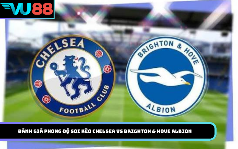 Đánh giá phong độ soi kèo Chelsea vs Brighton & Hove Albion