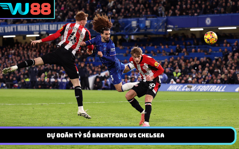 Dự đoán tỷ số Brentford vs Chelsea
