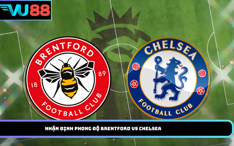 Nhận định phong độ Brentford vs Chelsea