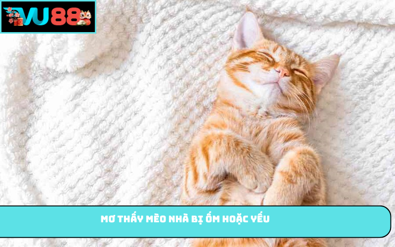 Mơ thấy mèo nhà bị ốm hoặc yếu