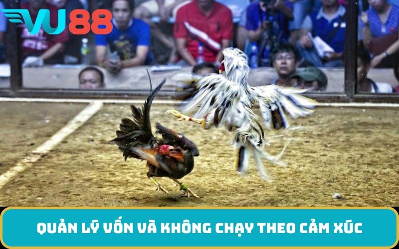 Quản lý vốn và không chạy theo cảm xúc