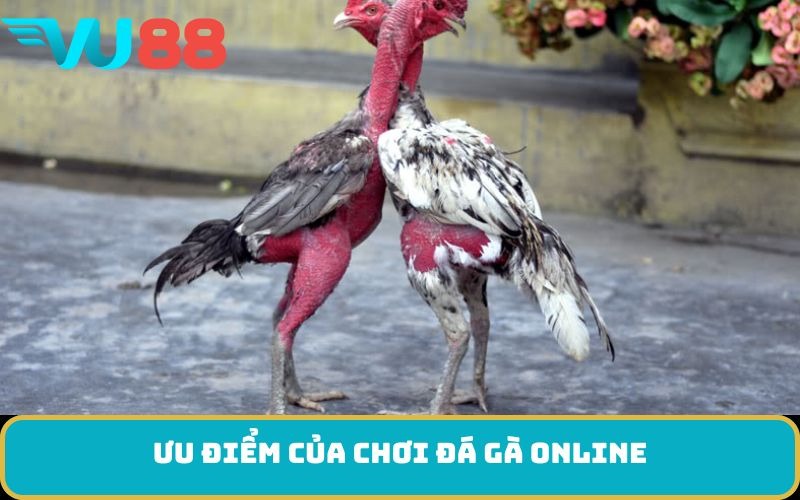 Ưu điểm của chơi đá gà online