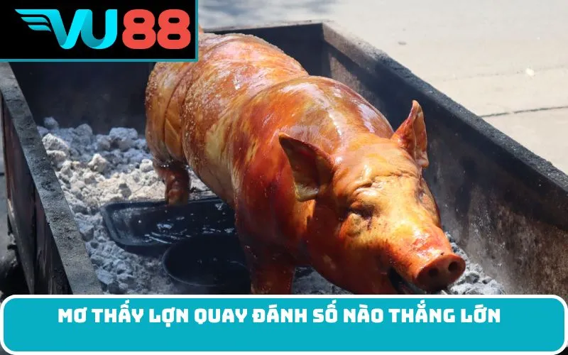 Mơ thấy lợn quay đánh số nào thắng lớn